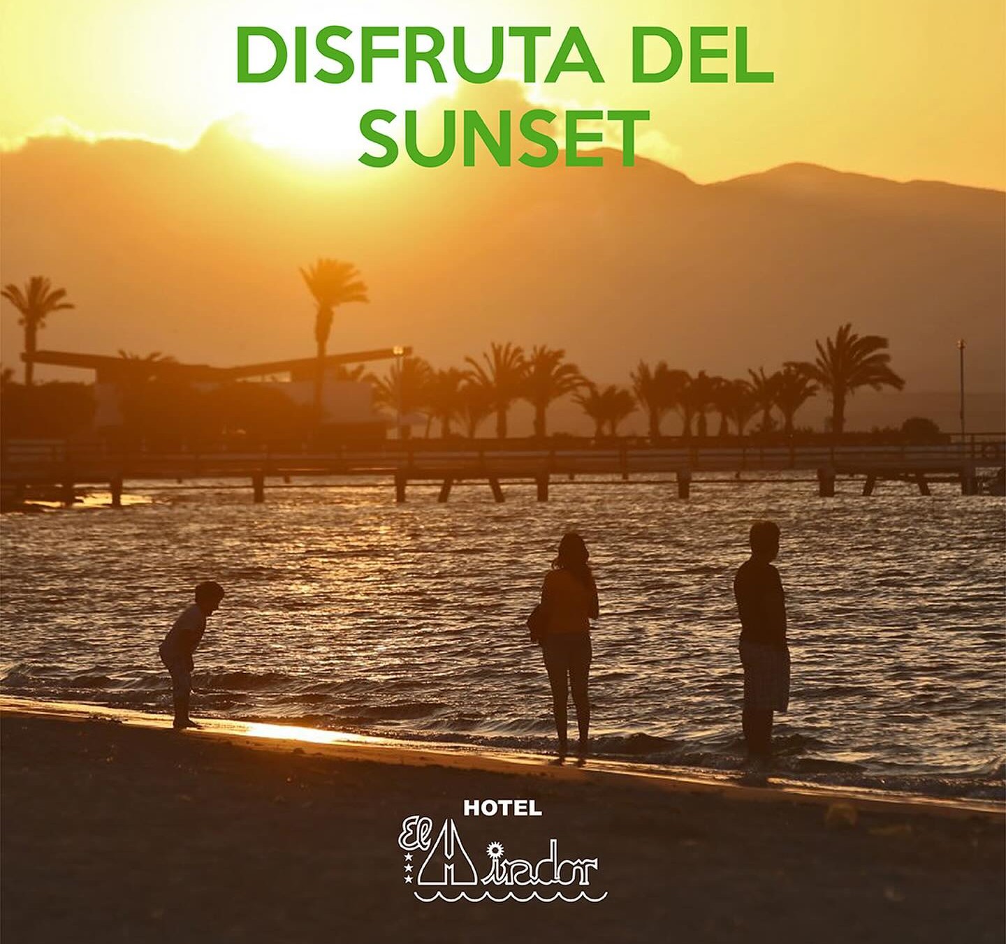 Tour a las Islas Ballestas